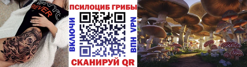Псилоцибиновые грибы ЛСД  где можно купить наркотик  Эртиль 